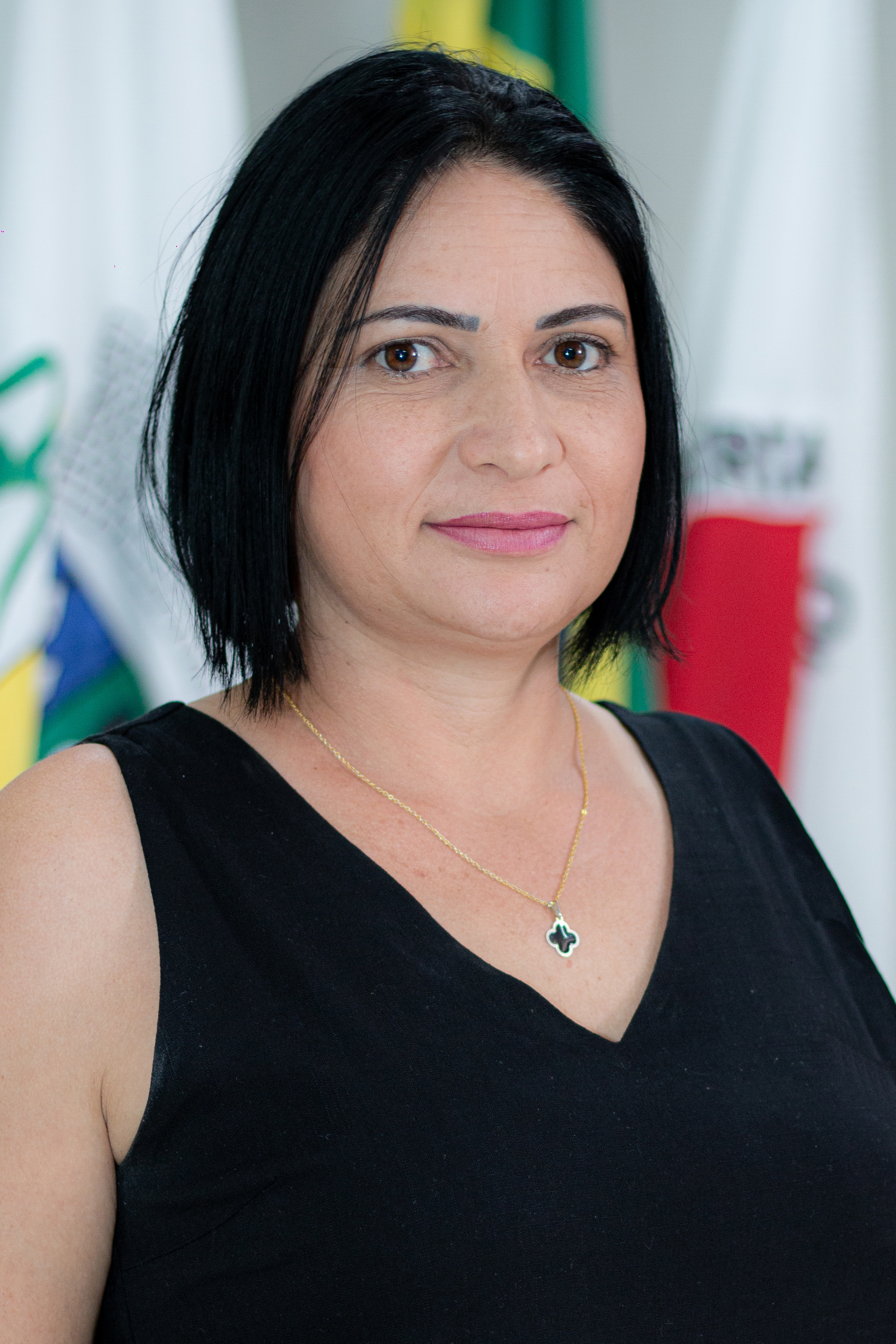 VIVIANE MAGALHÃES DA SILVA